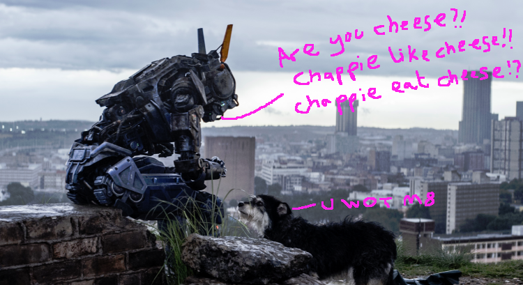 Oh Chappie, you so silly!